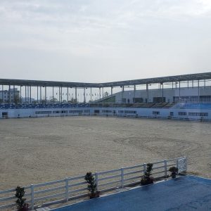gallery-image (5)